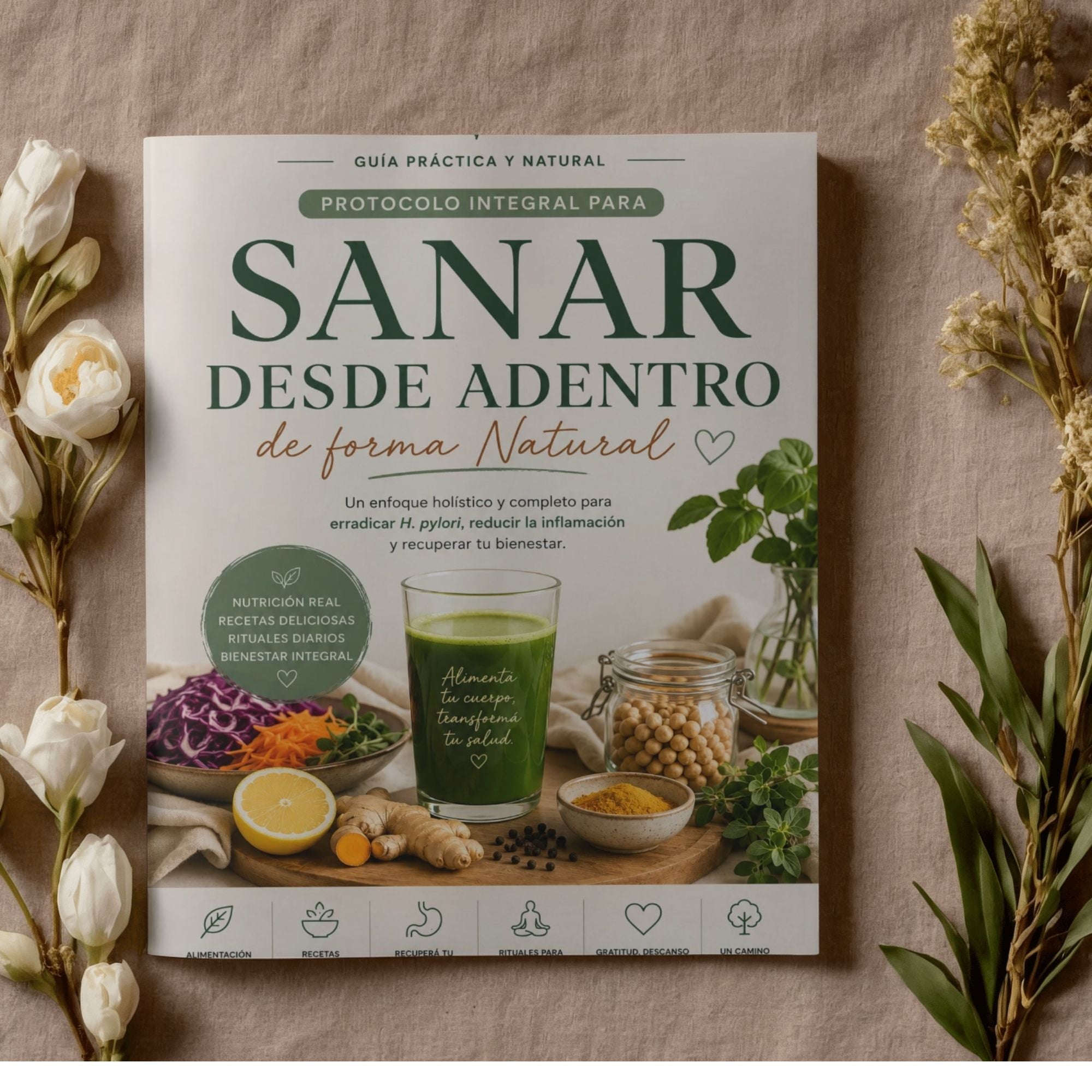 Sanar Desde Adentro | Guía Natural para Helicobacter pylori